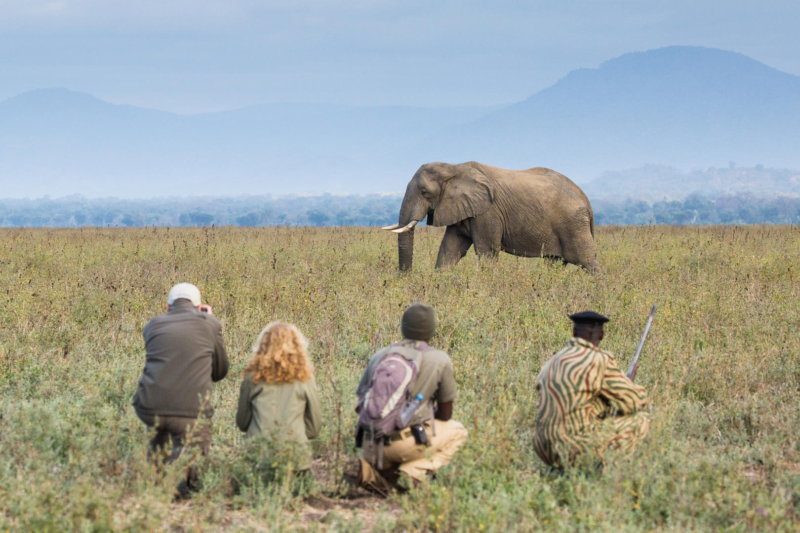 Walking safaris are Zambia's speciality.