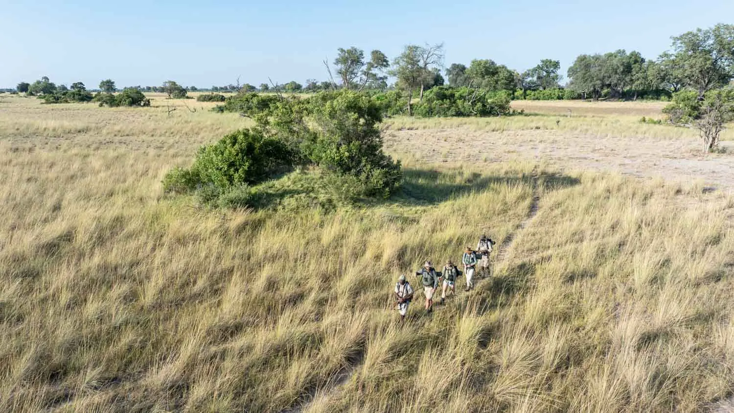 Walking safari in serengeti