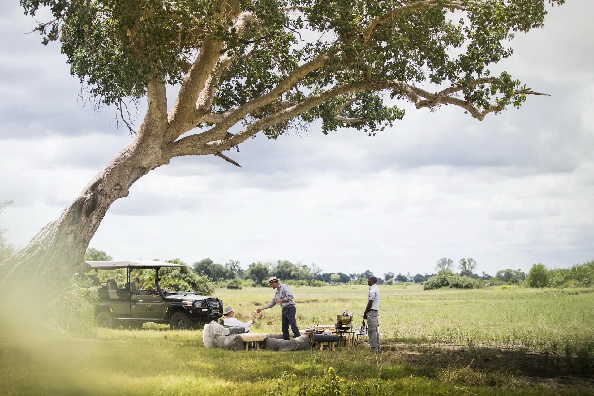 Picnic under a tree