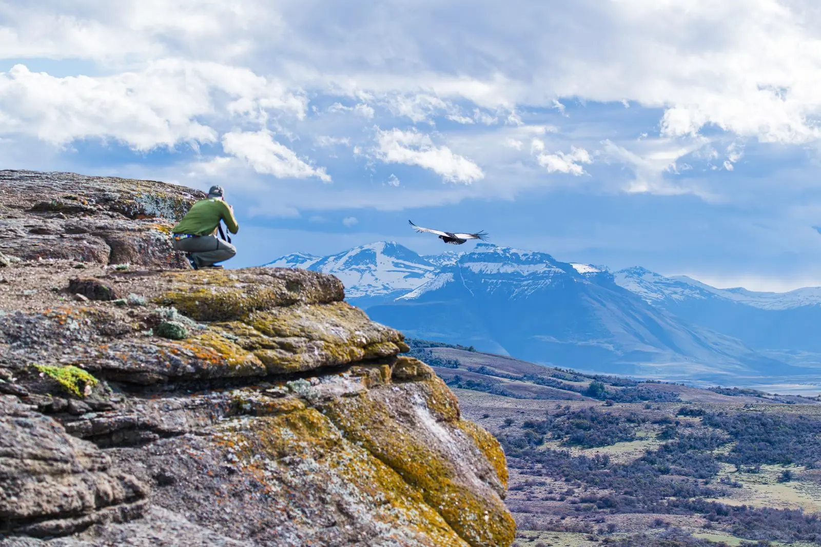 Nick photographing an Andean condor soaring above Patagonian escarpment.