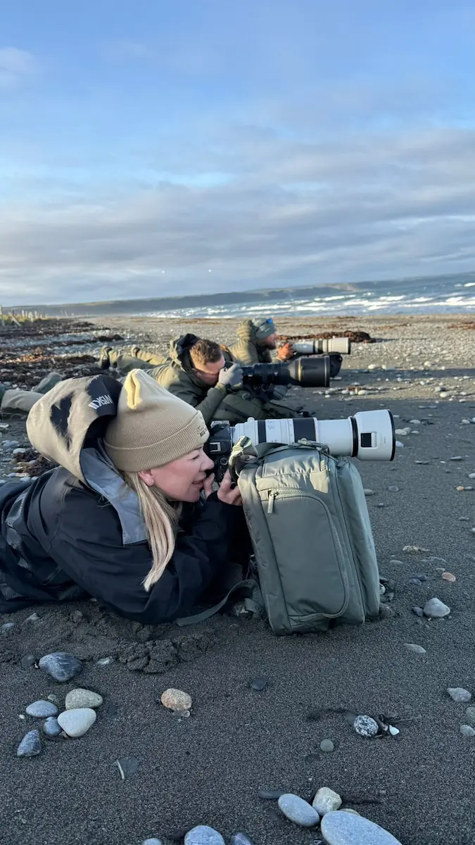 People lying down on the rocky beach to photograph King Penguins in Tierra del Fuego, Chile.