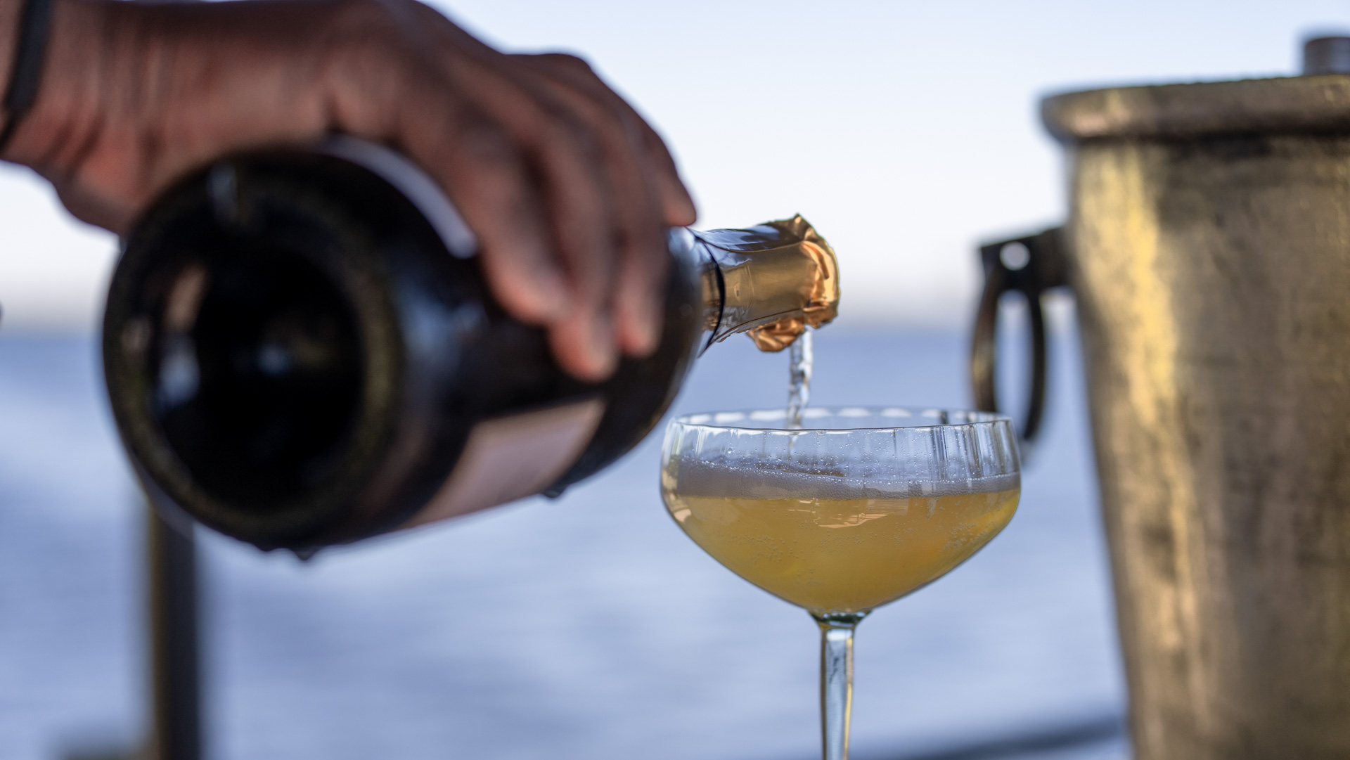 Close up of safari being poured in champagne coupe