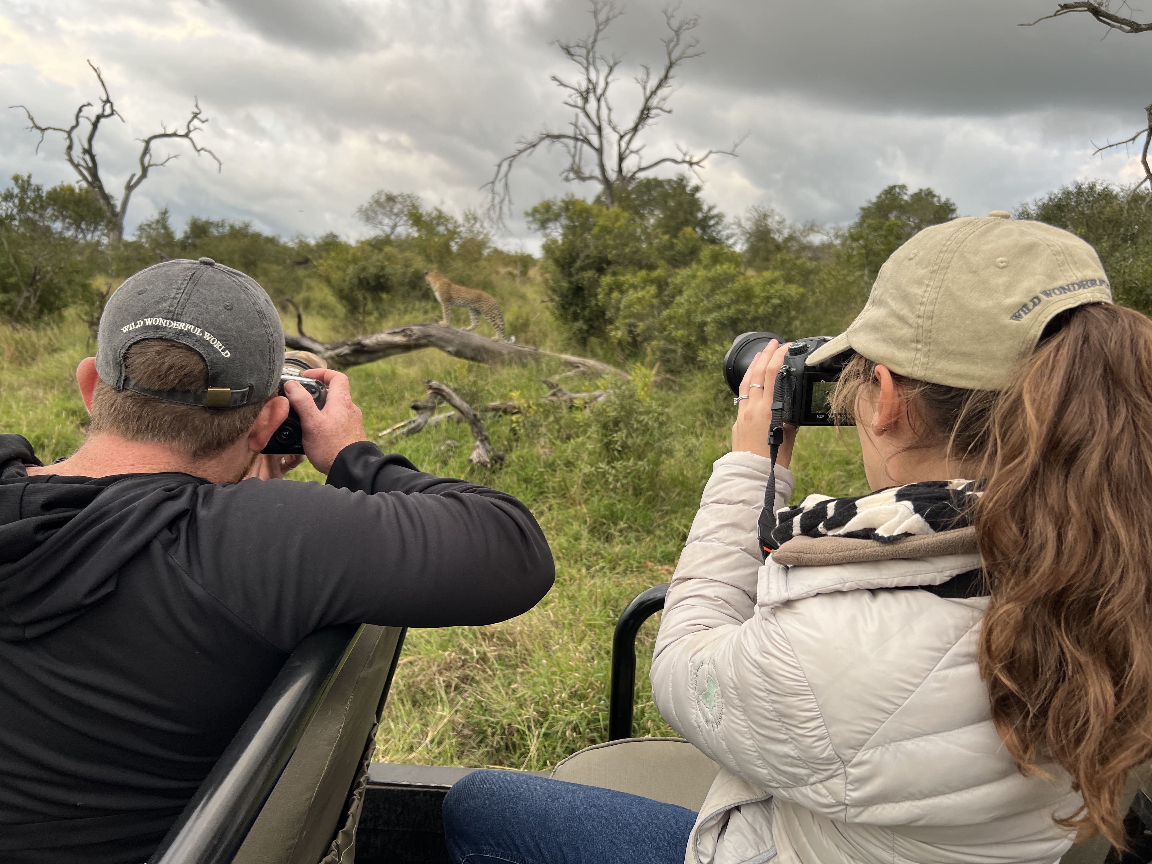 photographing leopard