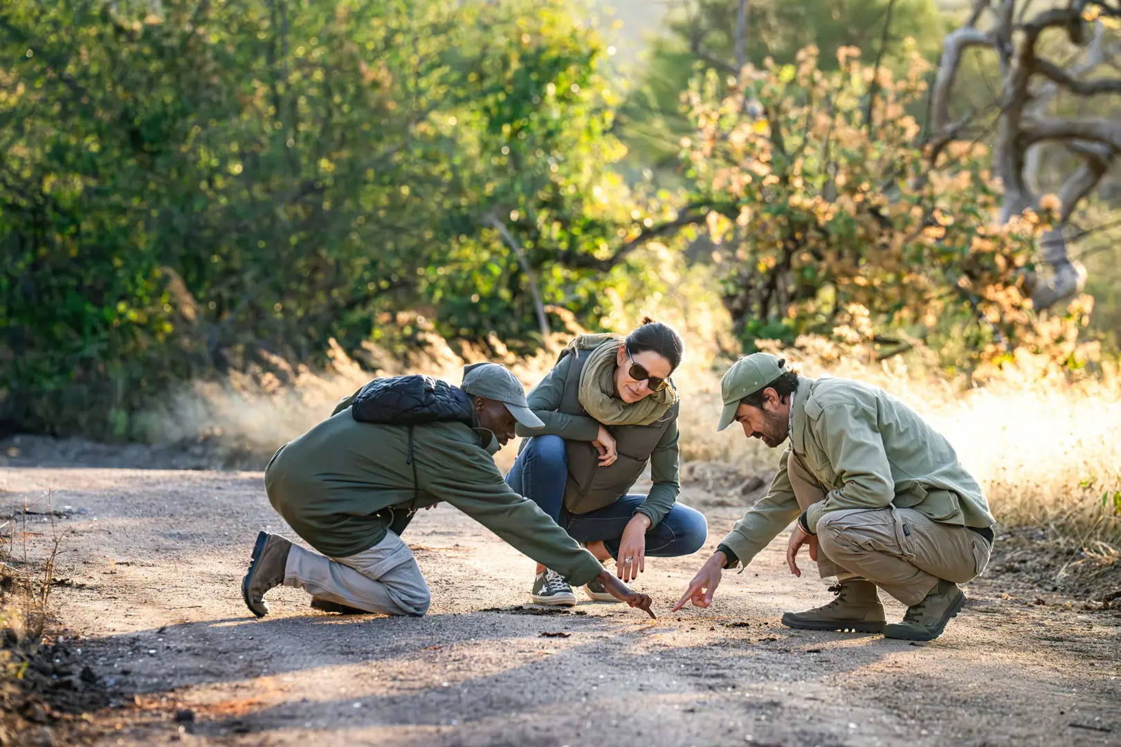 three people on safari looking at tracks