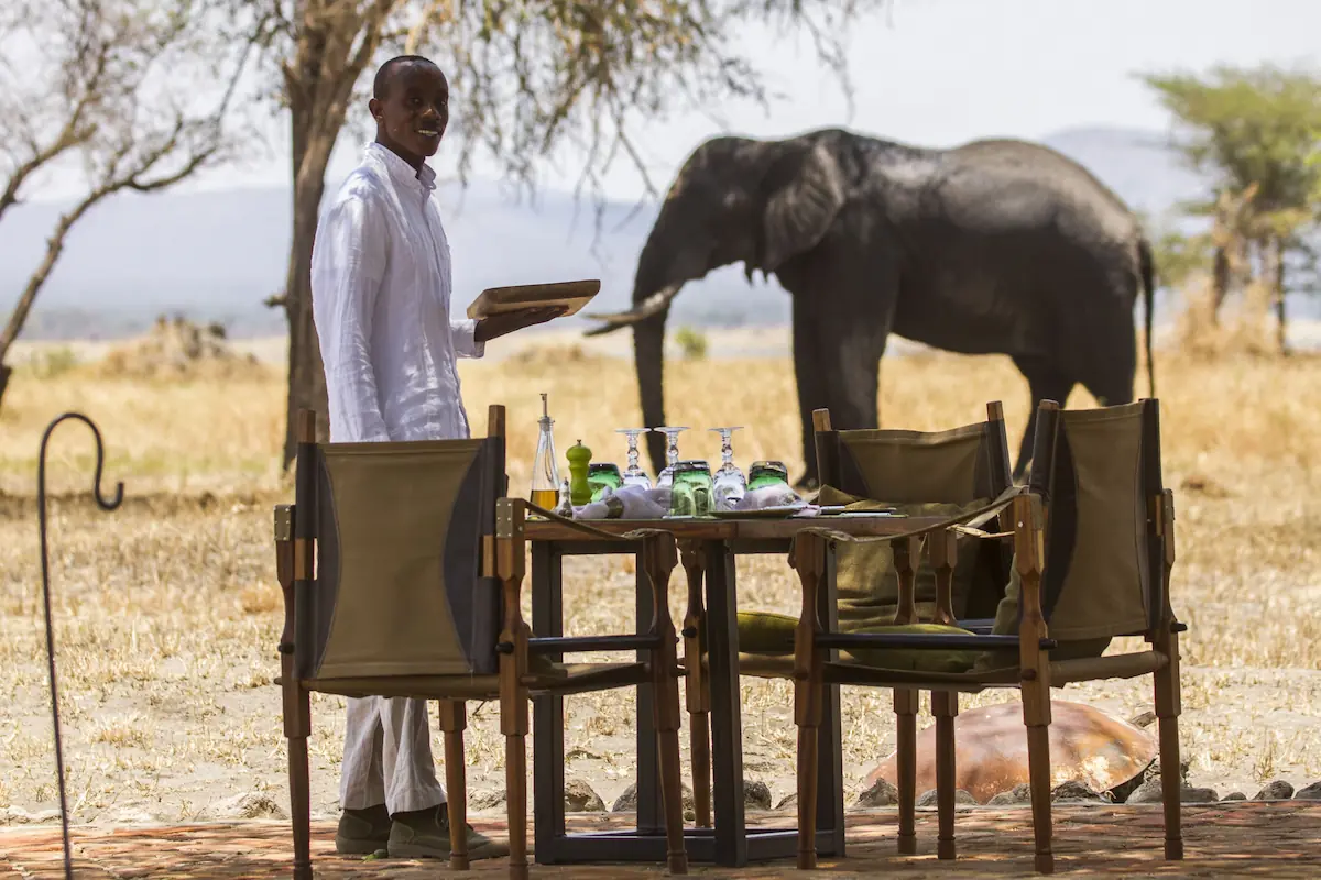 Waiter beside a table set with canvas campaign chairs as an elephant walks past at Little Chem Chem, Tanzania