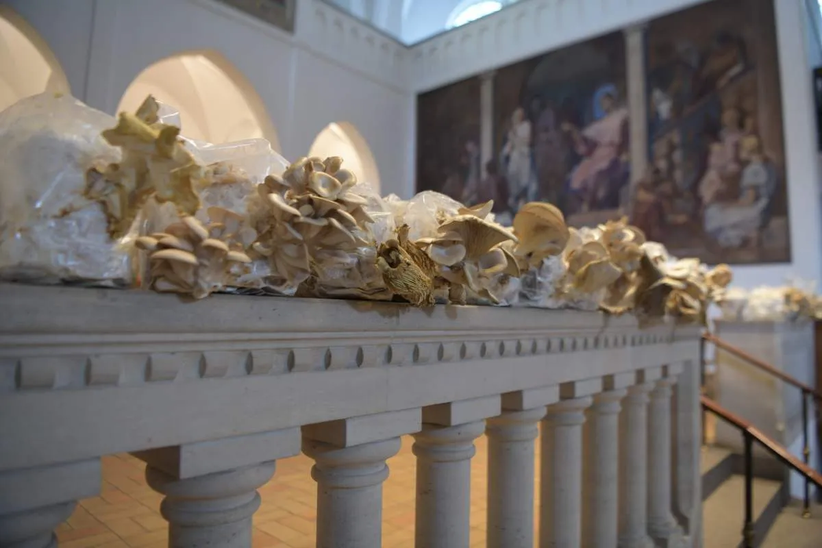 Artwork documentation from Design of Necessity by Khaled Barakeh, view 24.