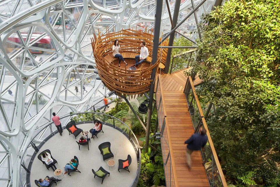 Amazon Spheres