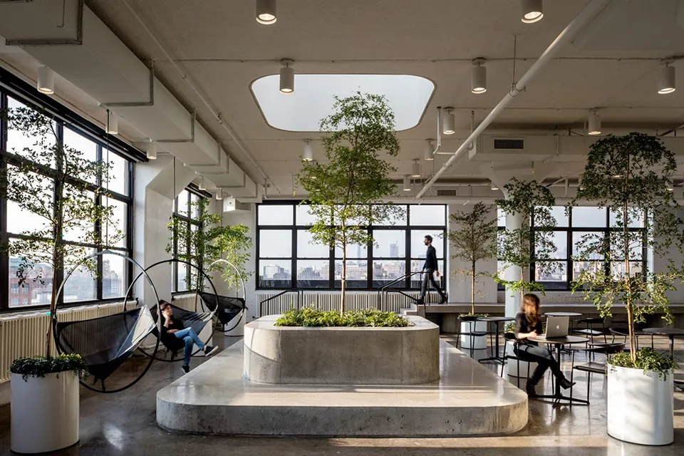 Squarespace Offices New York City