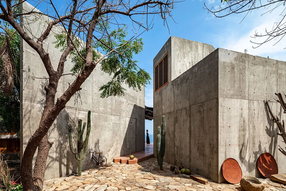 La Casa Del Sapo