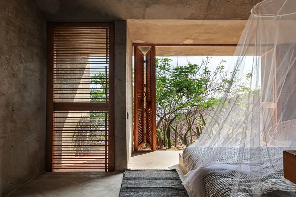 La Casa Del Sapo