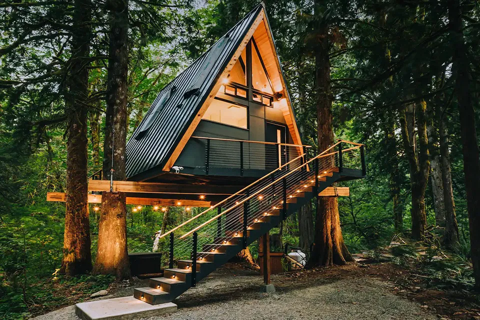 Tree Frame Cabin