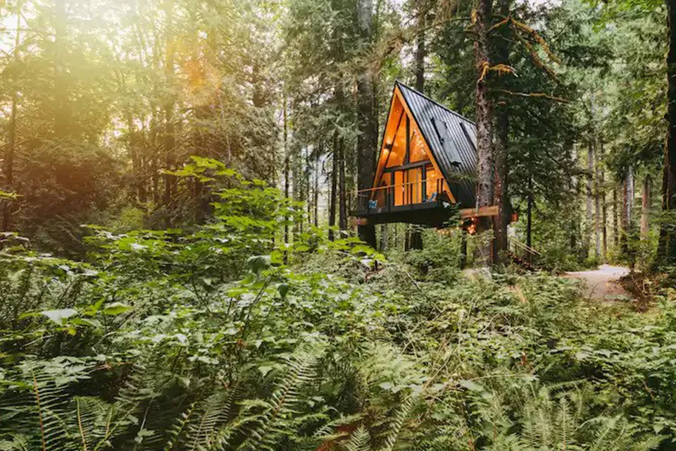 Tree Frame Cabin