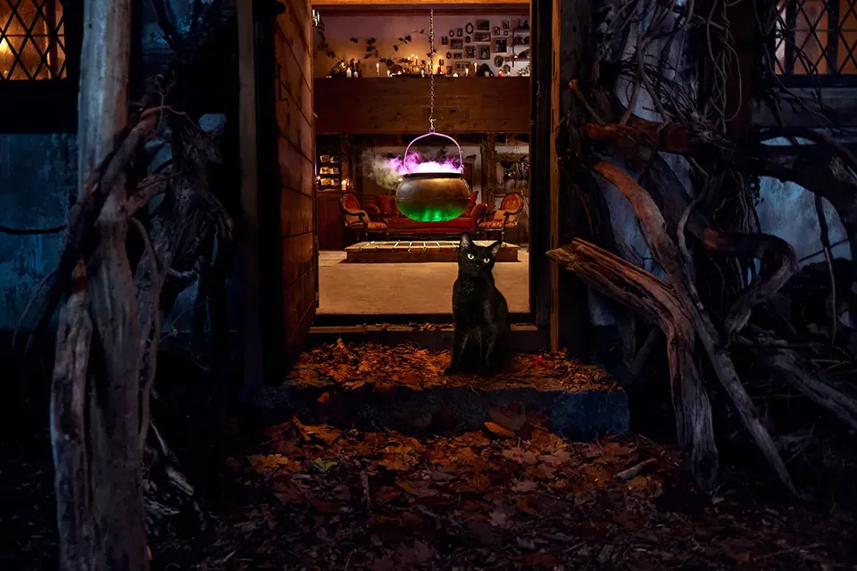 The Hocus Pocus Cottage