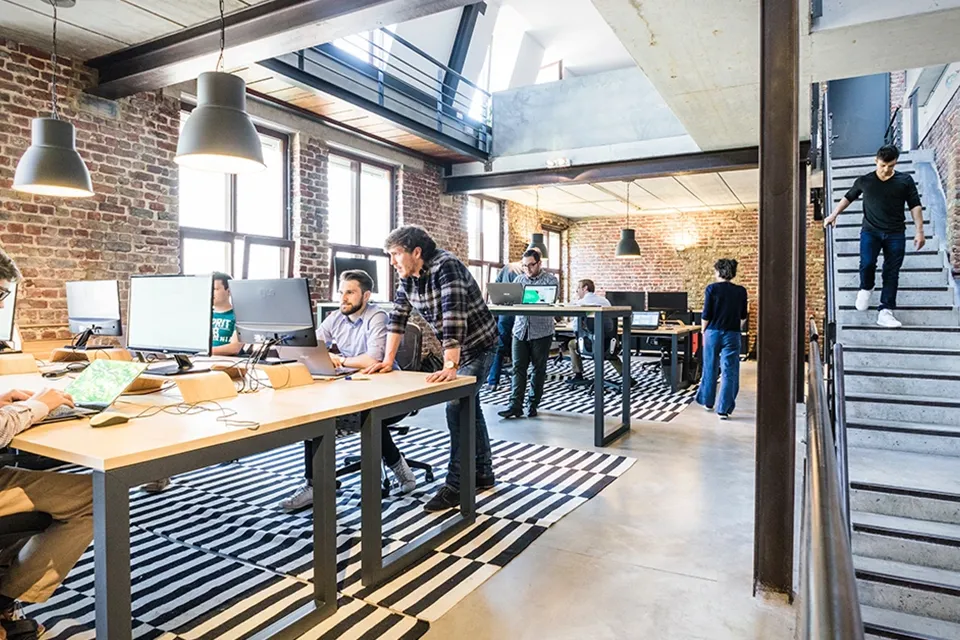 Starting a business or investing in startups