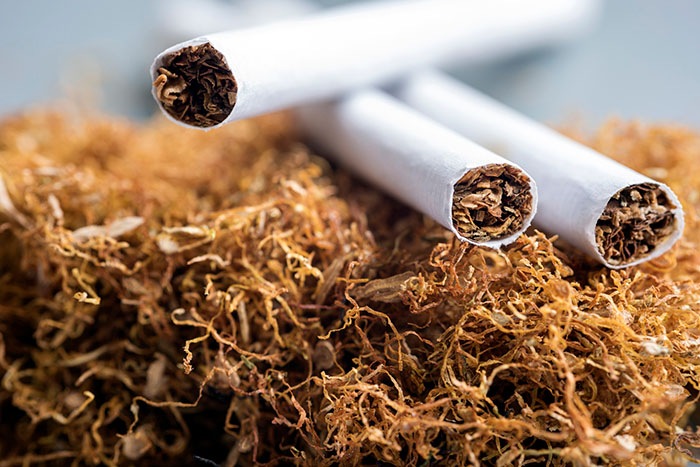 Three rolled cigarettes on a pile of dried and cut tobacco.