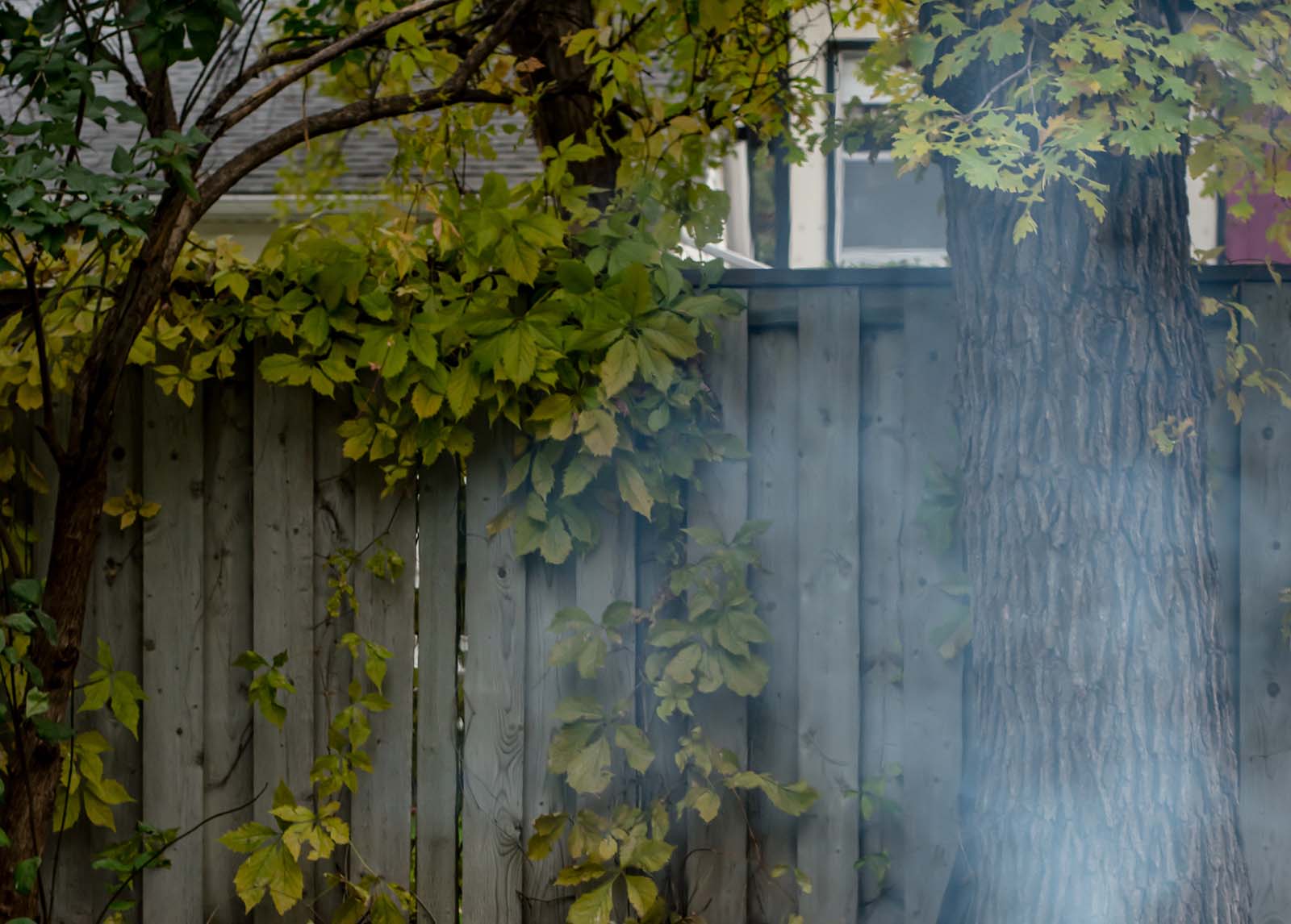 A fire pit emits smoke in a back yard.