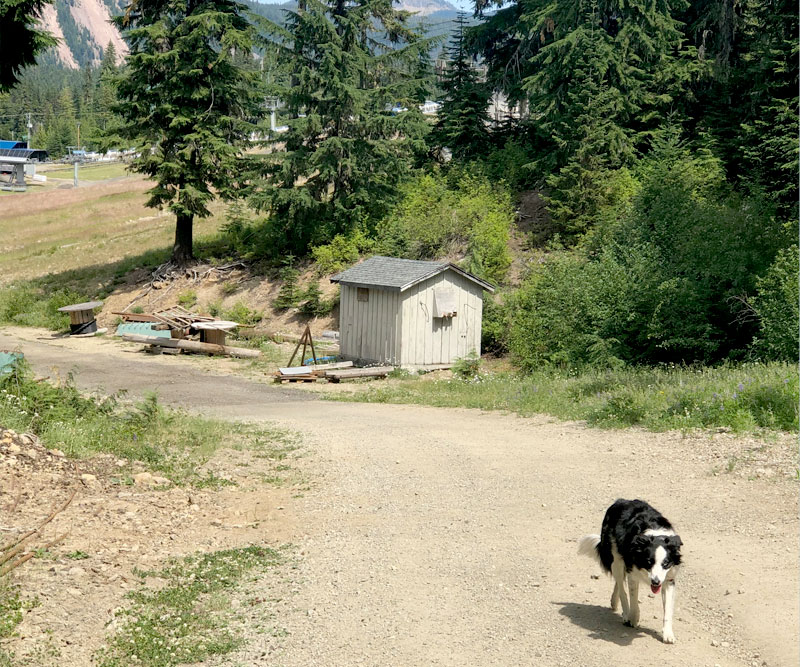 White Pass & Rimrock Lake - Ski Run Hiking and Camping