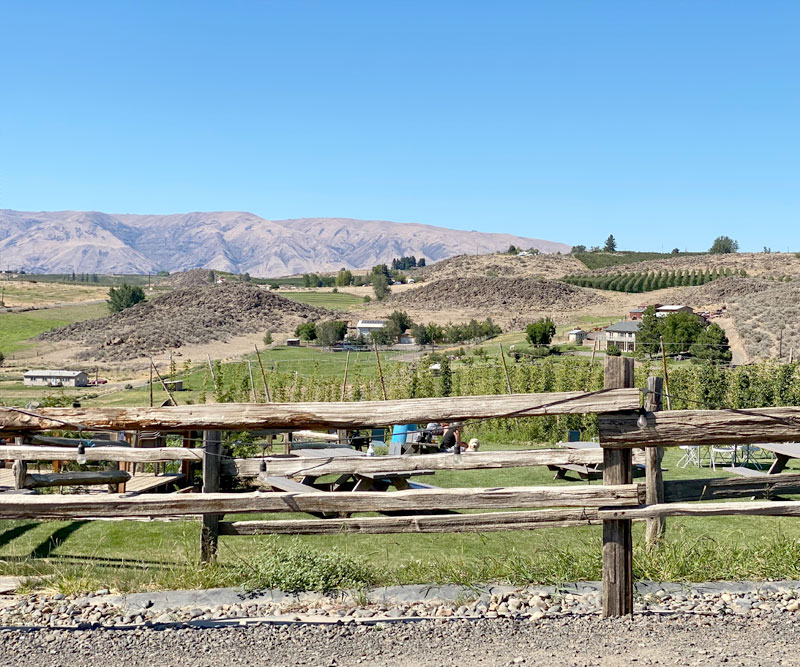 Cowiche Creek Brewing