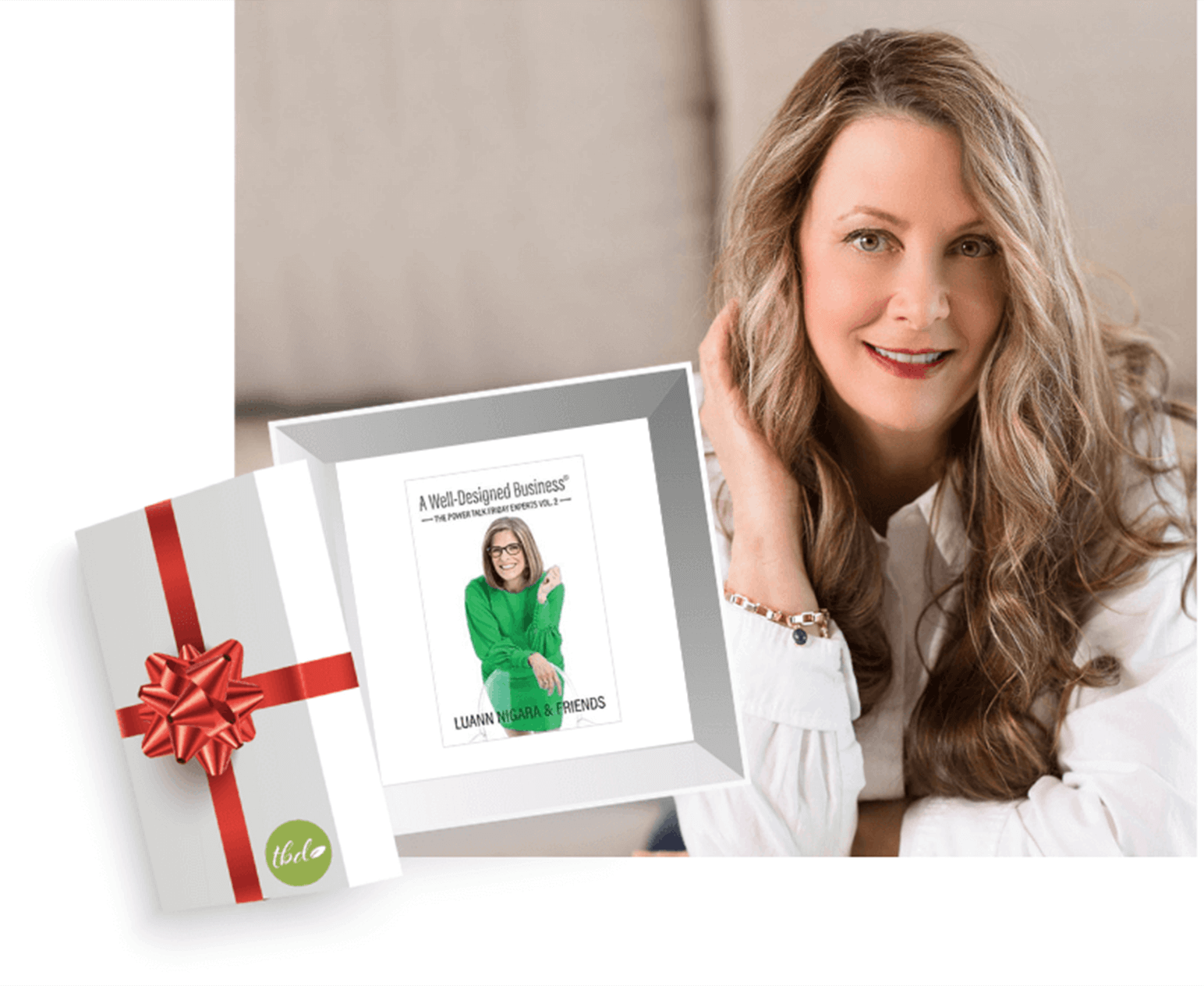 Luann Nigara A well Designed Business Book for Interior Designers