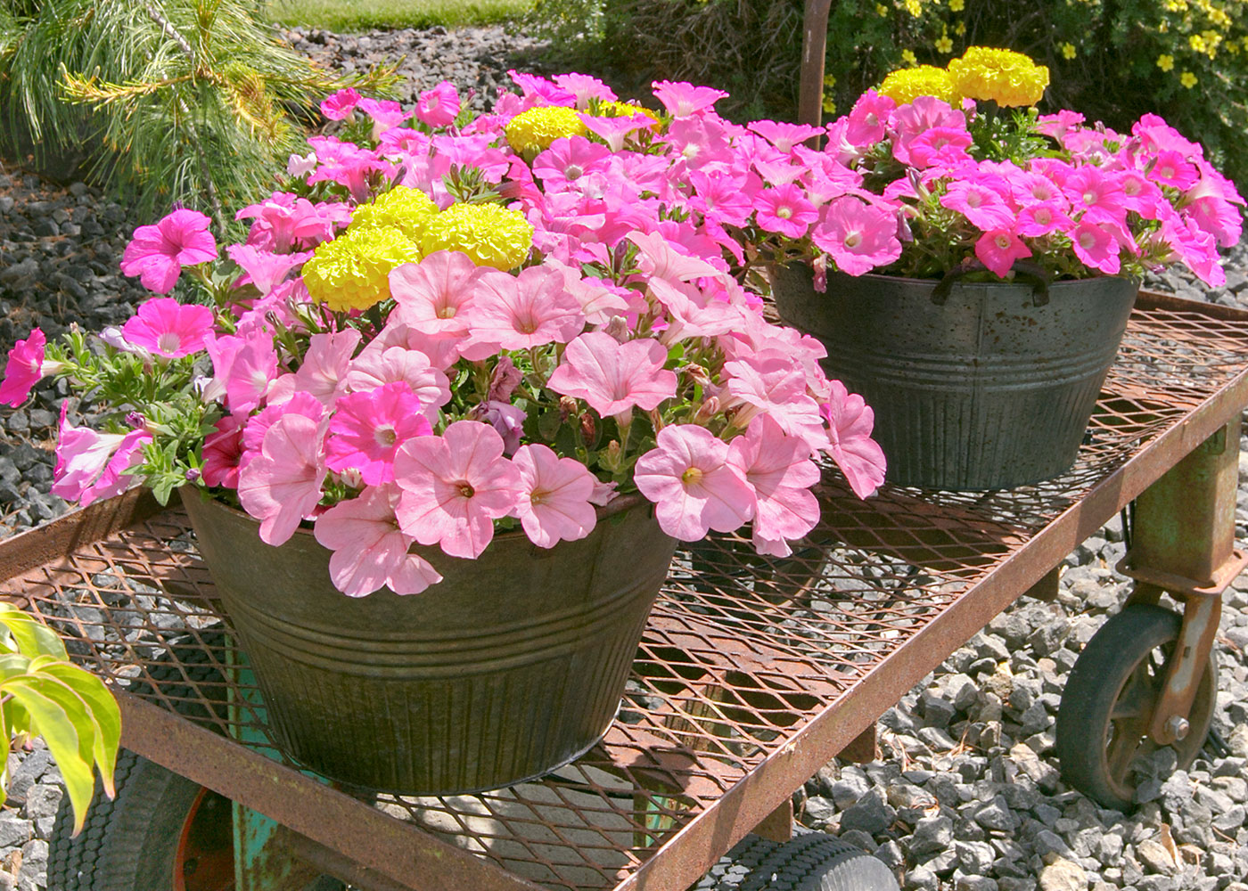 Garden decorative wheelbarrow with flowers
