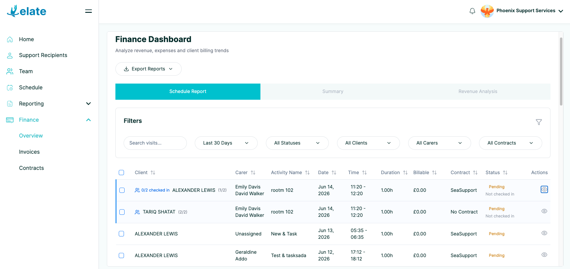 Elate reporting dashboard showing support activity, finance filters and visit records