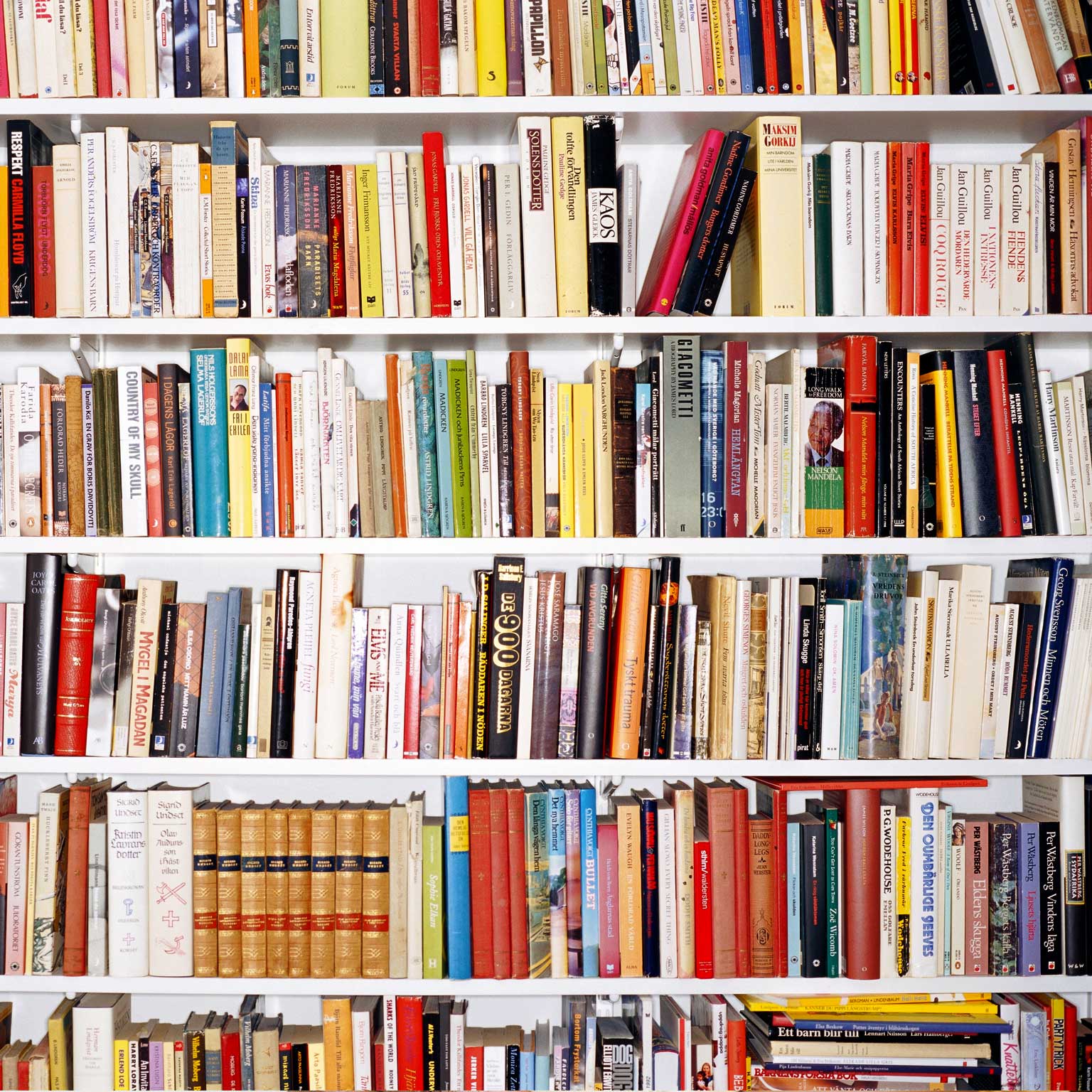 bookshelves with various colored books