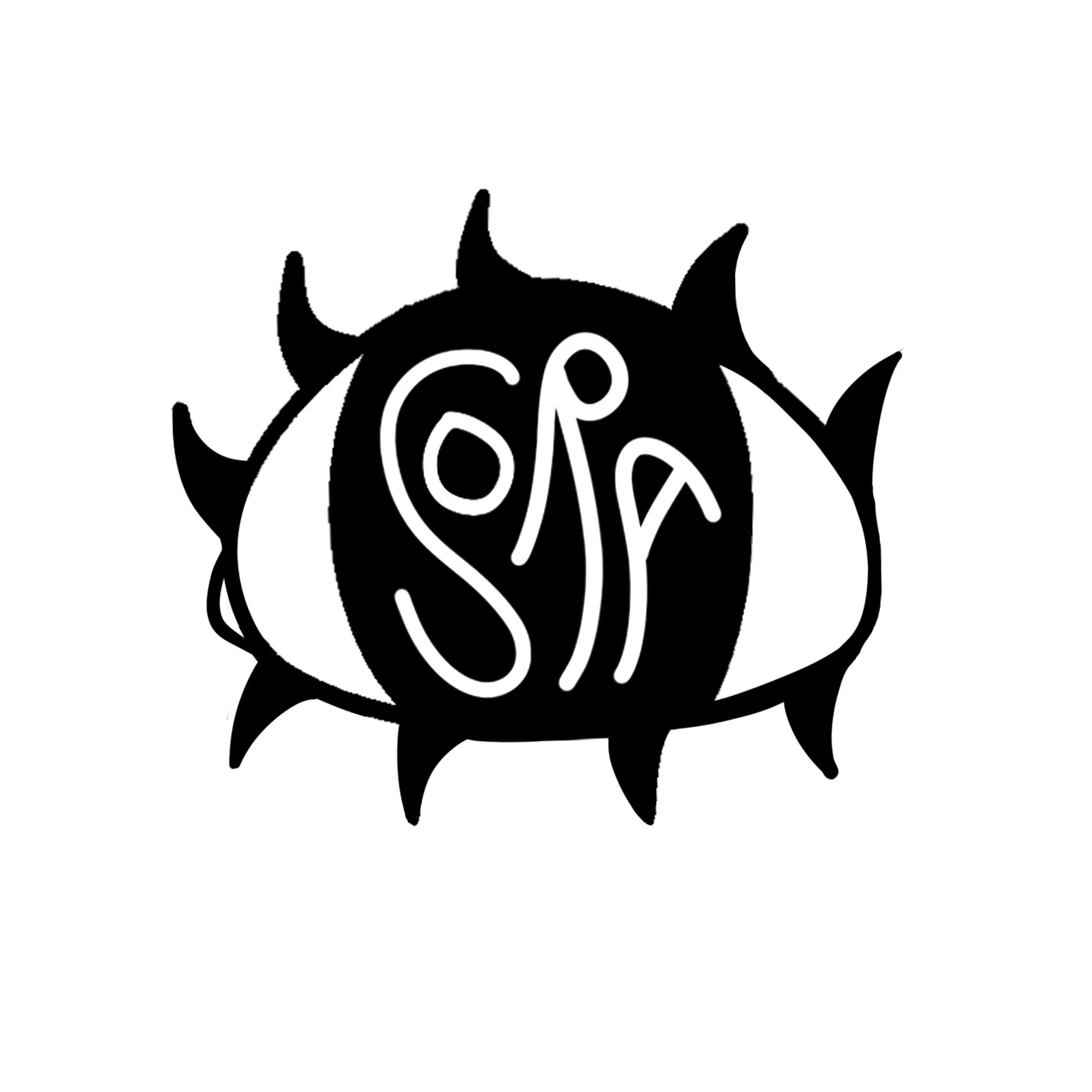 Black-and-white logo featuring the stylized letters “SSR” in white script inside a rounded black shape with pointed, petal-like projections around its edge.
