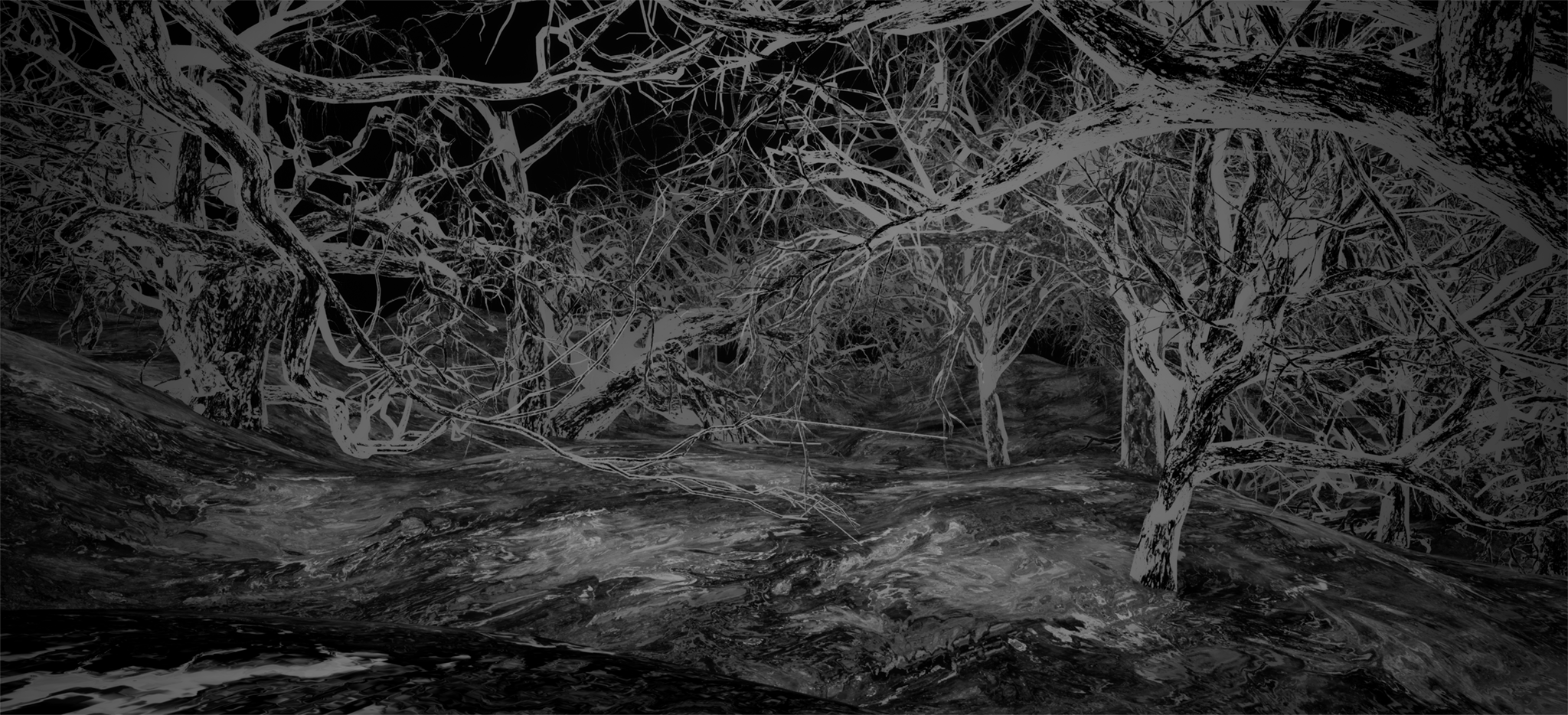Dark, tangled forest with many leafless branches and rough textured ground under a black sky.