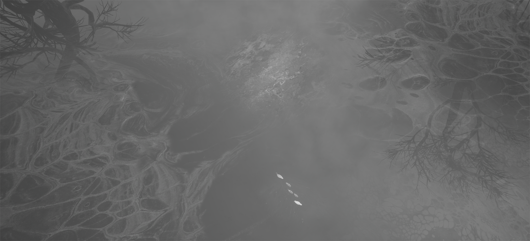 Aerial view of a calm dark river with two white birds swimming and reflections of leafless tree branches on the water surface.