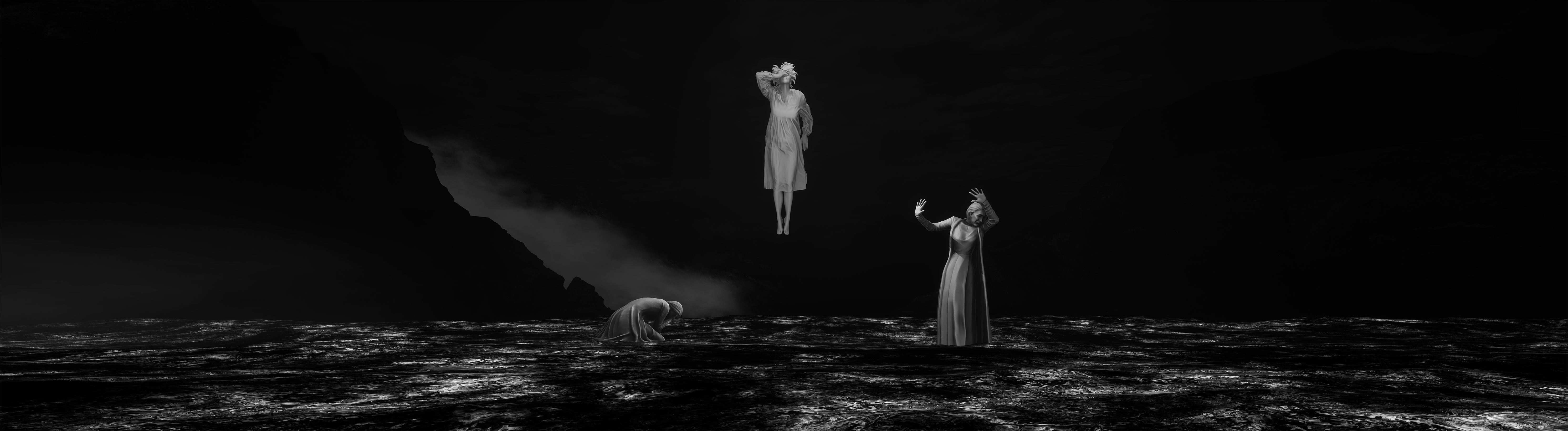 Close-up view of concentric tree rings with light streaks across the image, resembling a woodcut pattern.