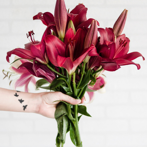 Lily