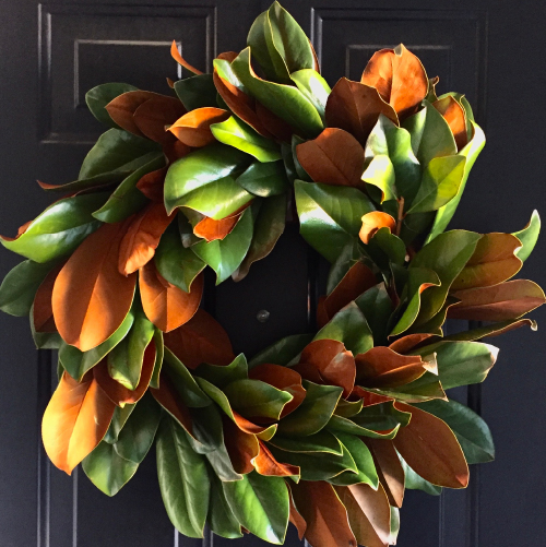 Magnolia
