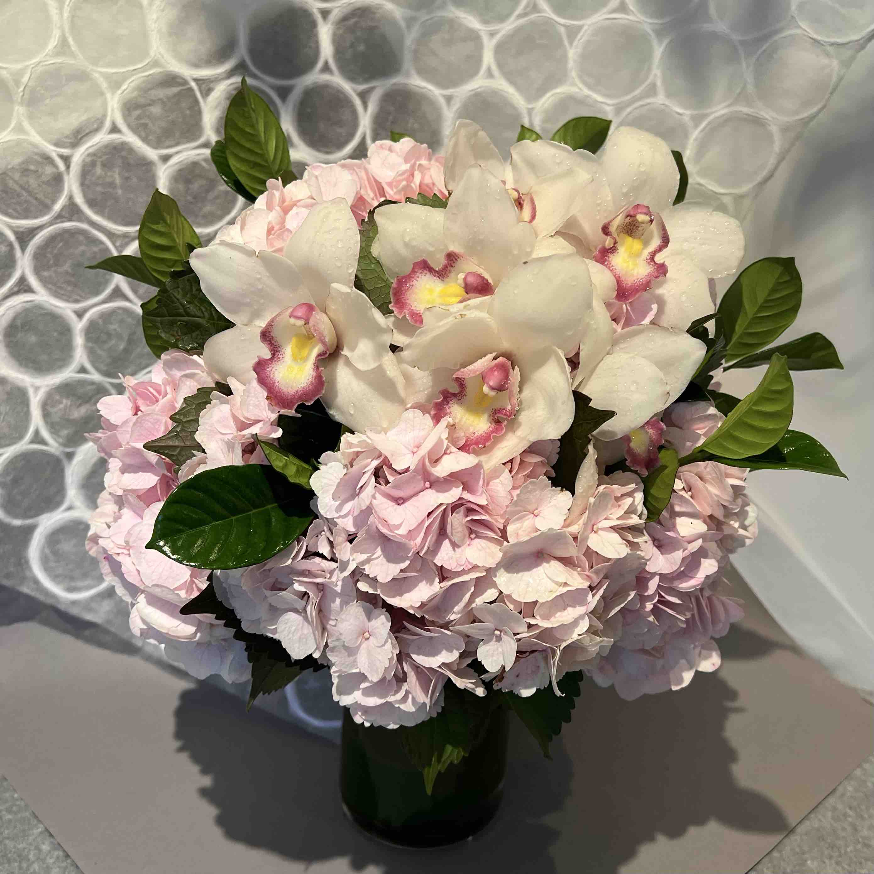 Gardenia