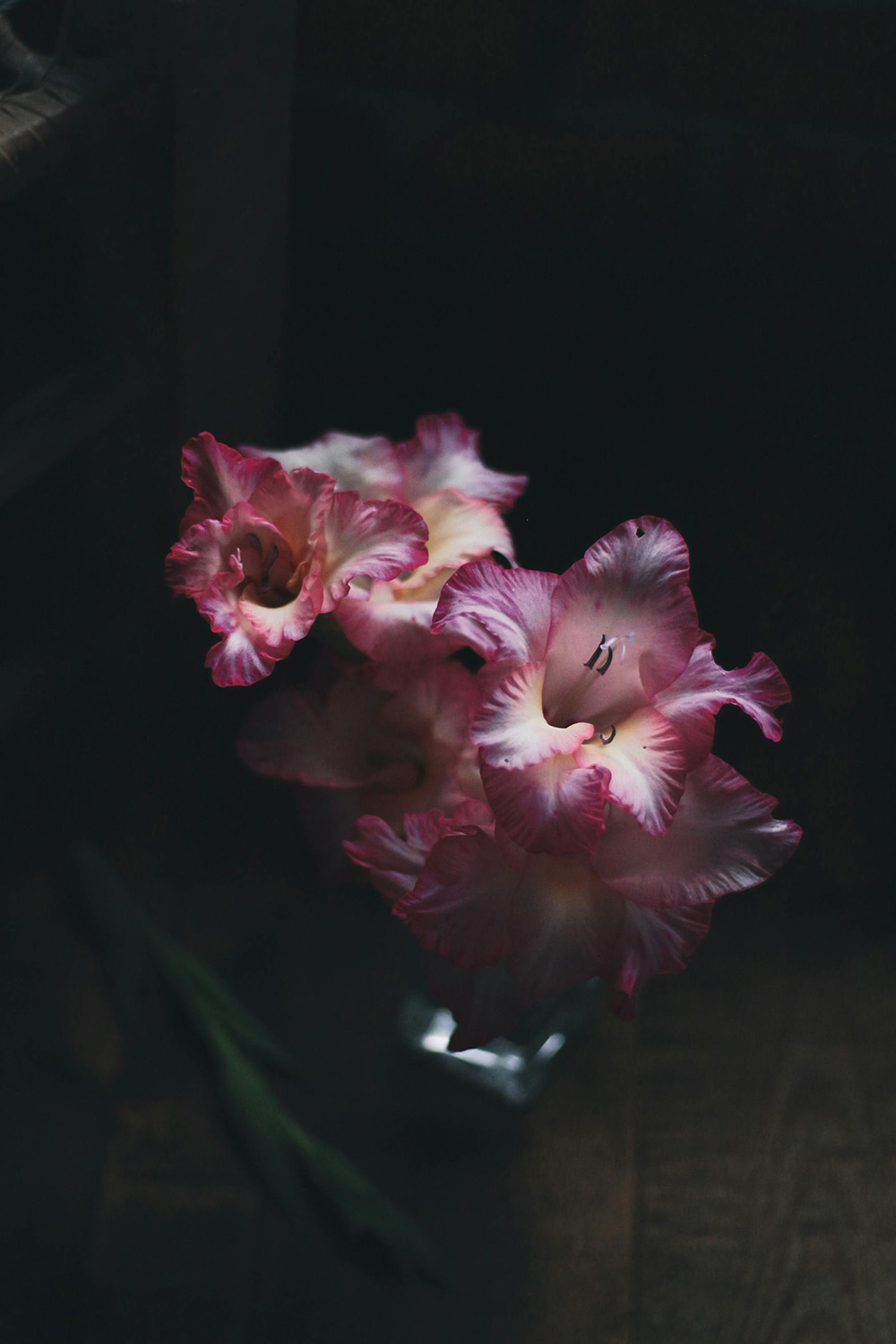Gladiolus flowers arranged by Floral Studio NYC