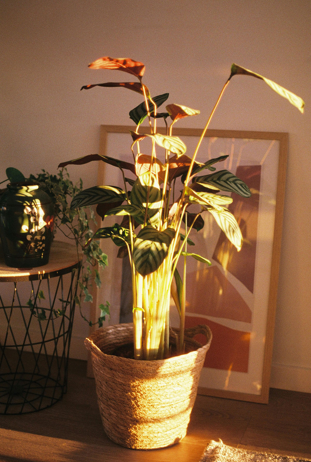 Flower arrangement on a kitchen stand in a small apartment