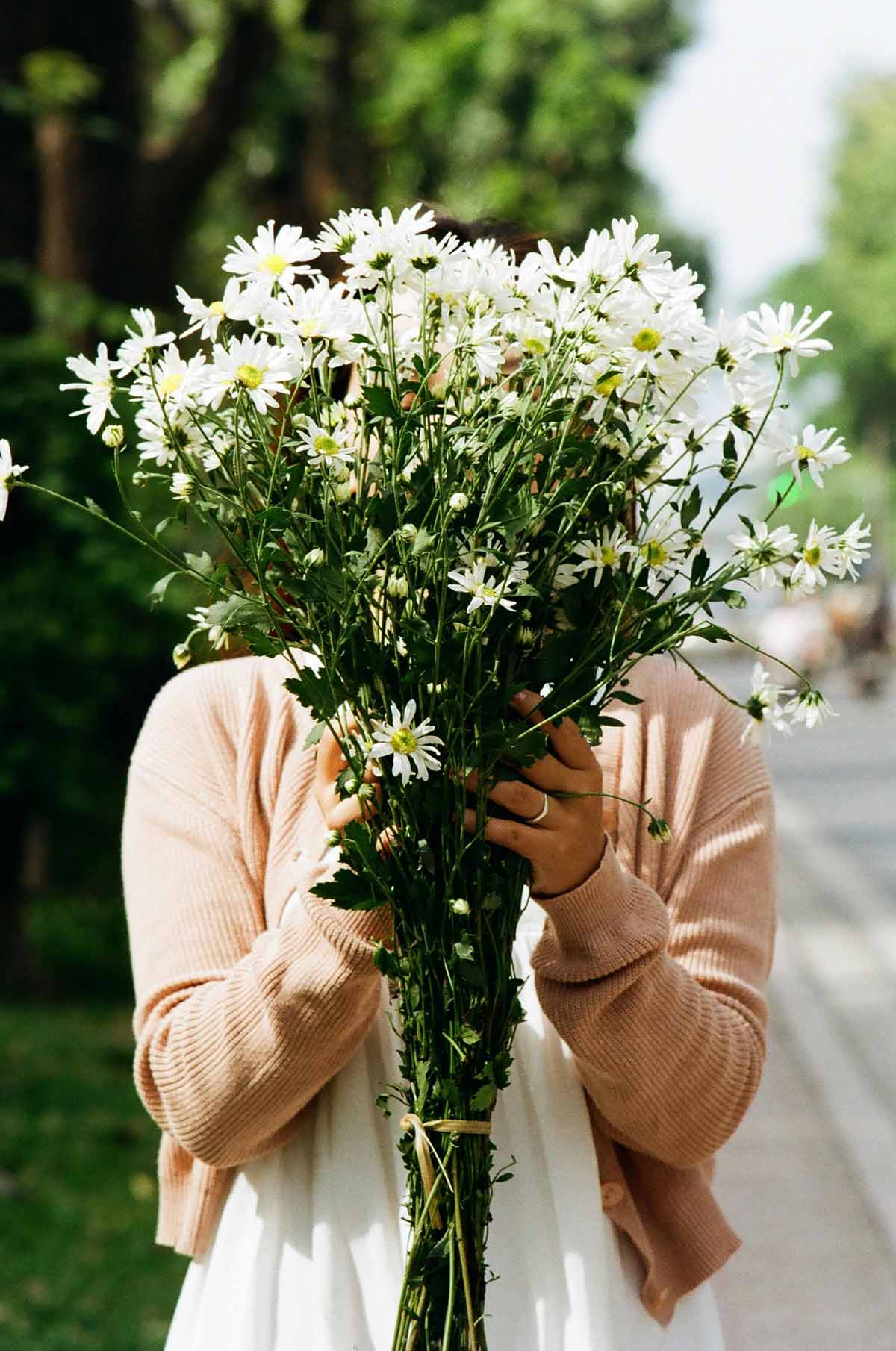 Daisy blooms in a simple floral arrangement