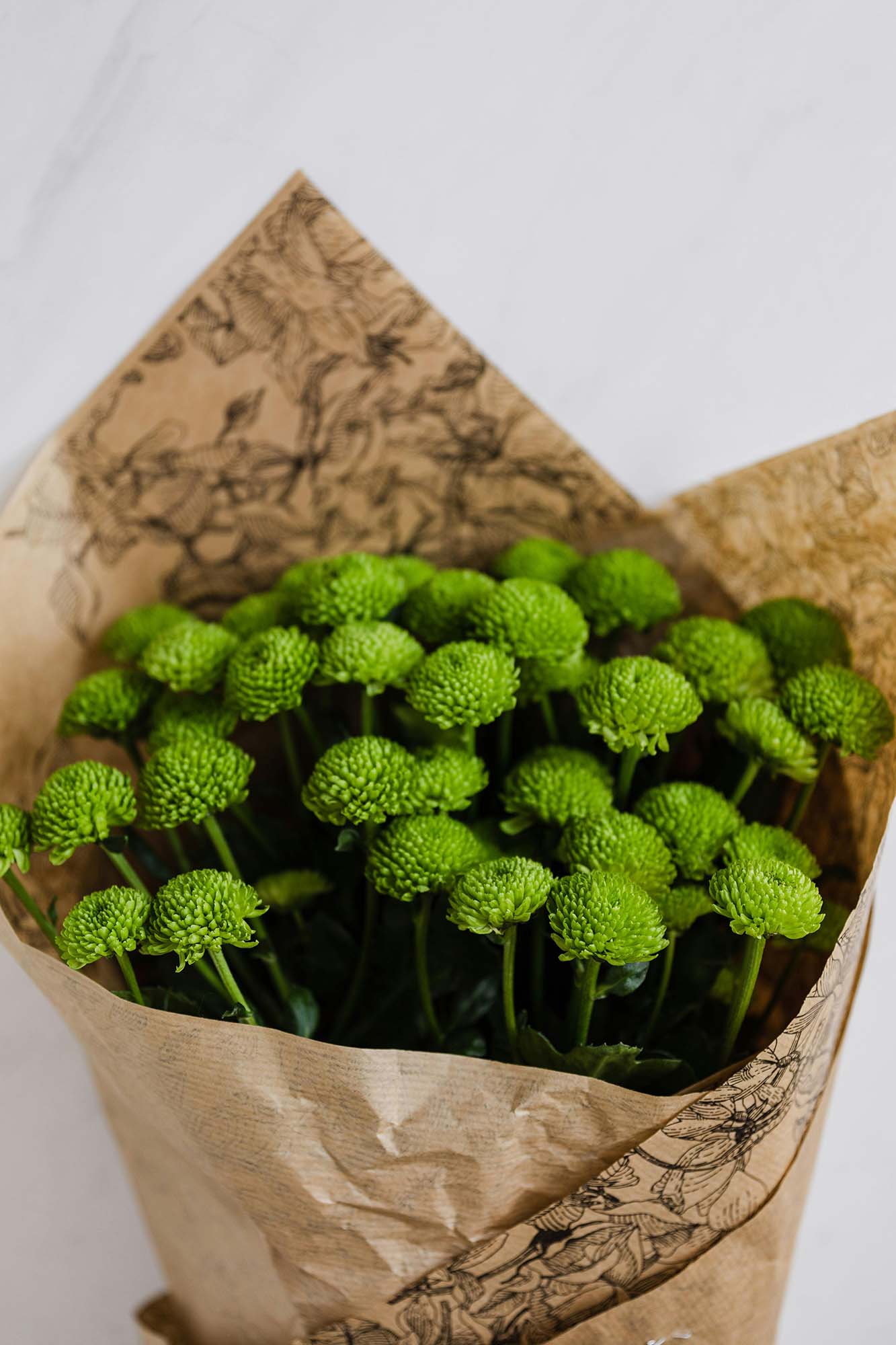 Green flowers arranged by Floral Studio NYC