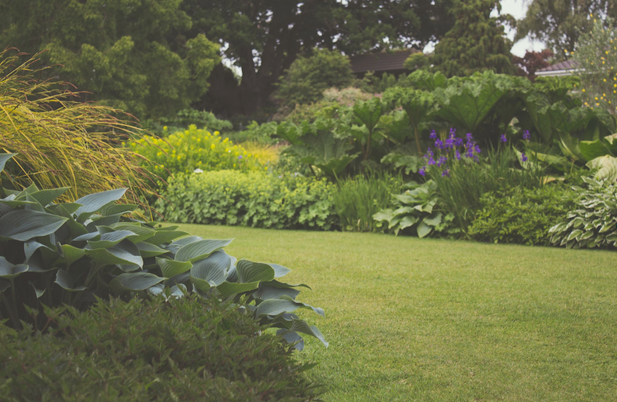 Urban garden styled as a personal statement