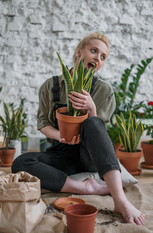 Gardening in a New York City urban garden