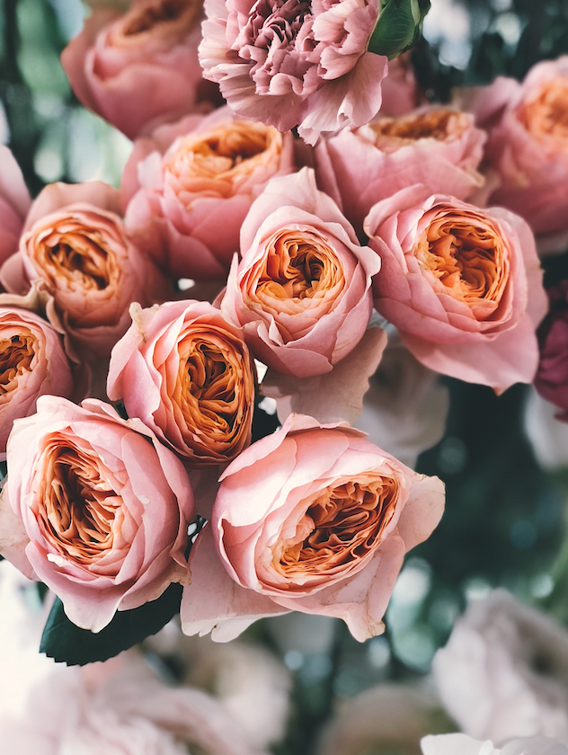 Roses arranged by Floral Studio NYC