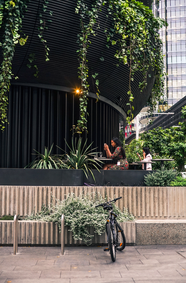Rooftop garden planted above a New York City building