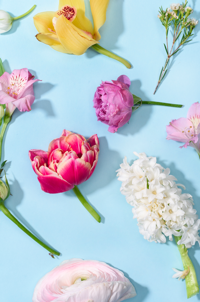 Floral pattern made from fresh spring blooms