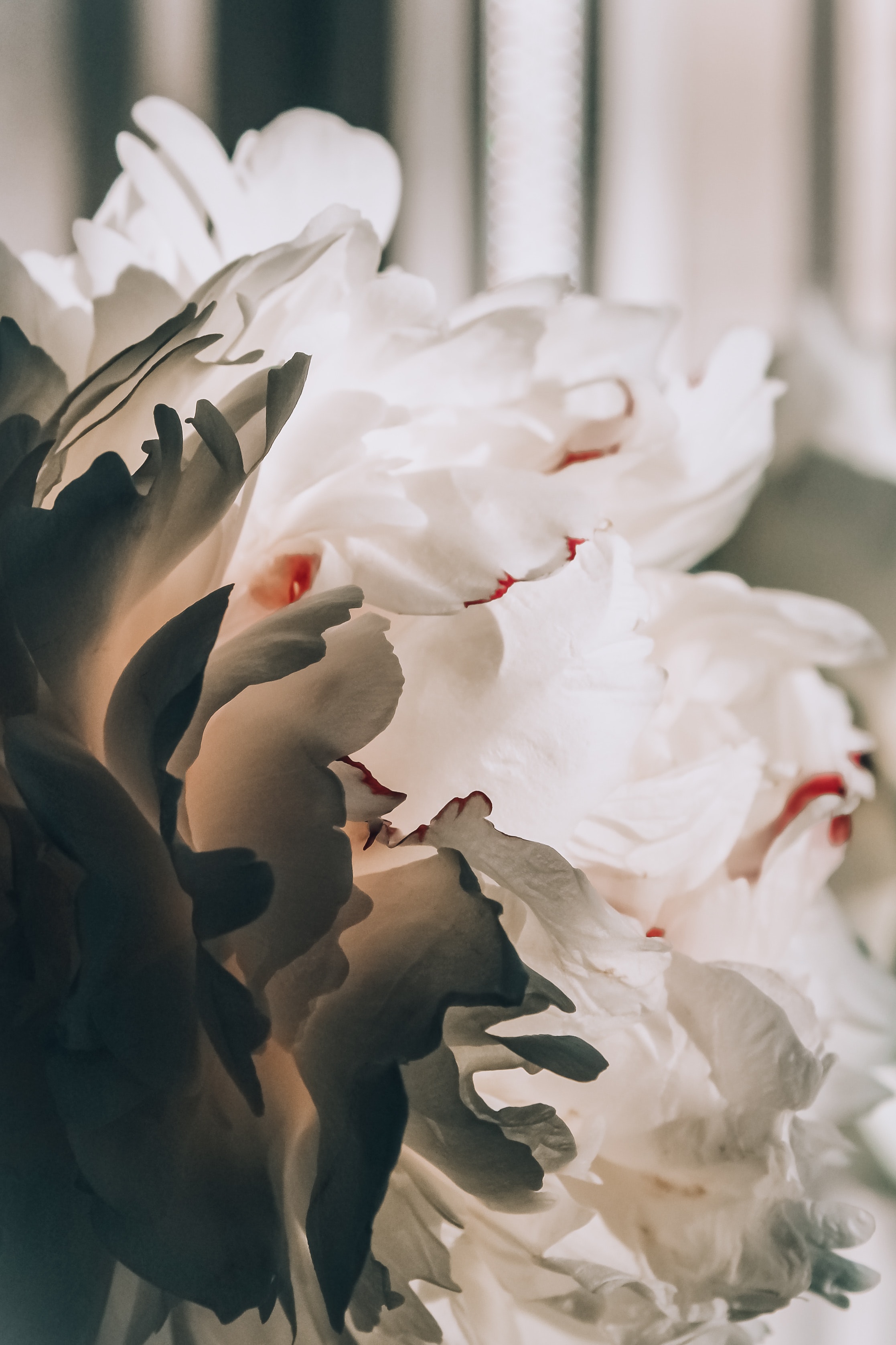 White flowers arranged for a New York City office