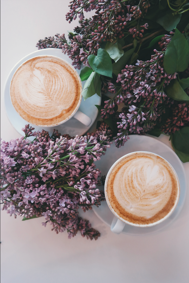 Lilac blooms celebrating spring in New York City