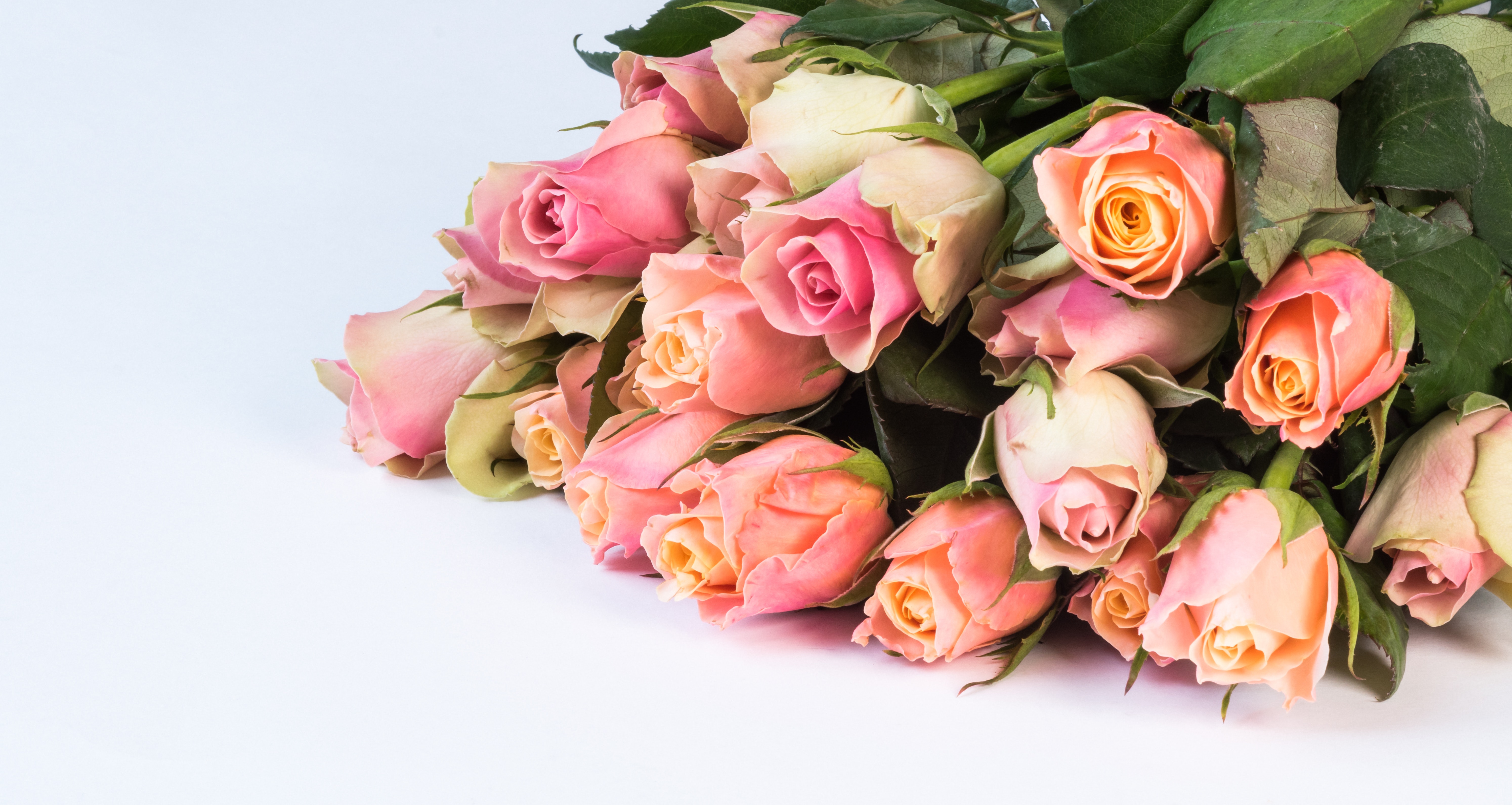 Rose arrangement delivered by Floral Studio NYC
