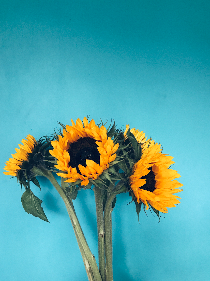 Sunflower arrangement by Floral Studio NYC