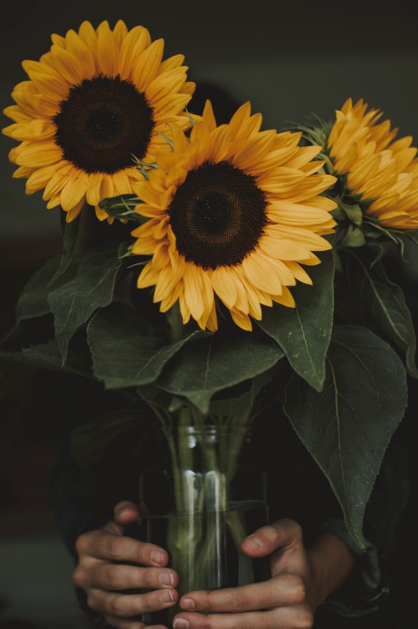 Flower arrangement given as a hostess gift