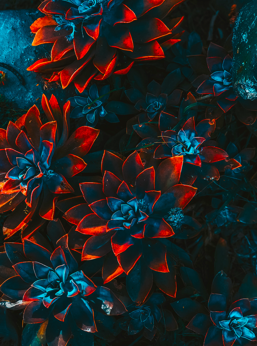 Halloween flower arrangement in New York City