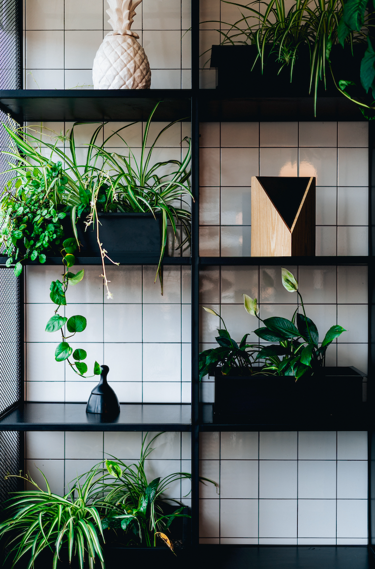 Green botanical arrangement by a New York City florist