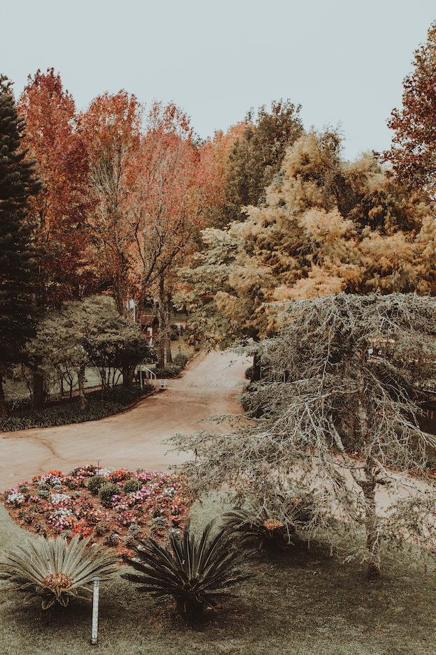 Flower arrangement marking the turn from summer to autumn
